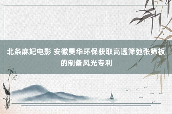 北条麻妃电影 安徽昊华环保获取高透筛弛张筛板的制备风光专利