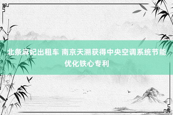 北条麻妃出租车 南京天溯获得中央空调系统节能优化铁心专利