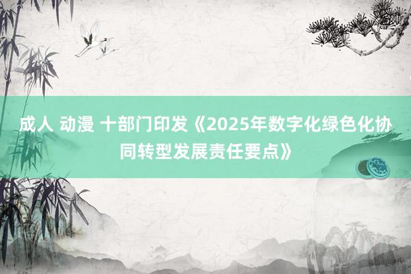 成人 动漫 十部门印发《2025年数字化绿色化协同转型发展责任要点》