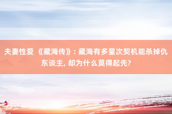 夫妻性爱 《藏海传》: 藏海有多量次契机能杀掉仇东谈主， 却为什么莫得起先?